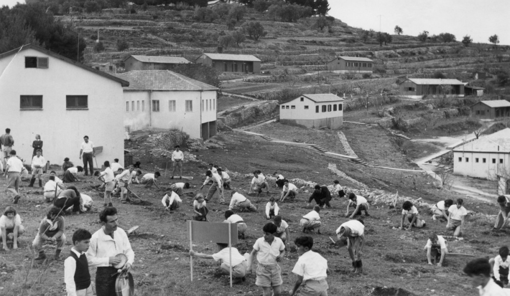 1951: Die erste Kindergeneration im Dorf pflanzt Bäume