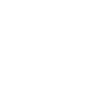 mini-icon 